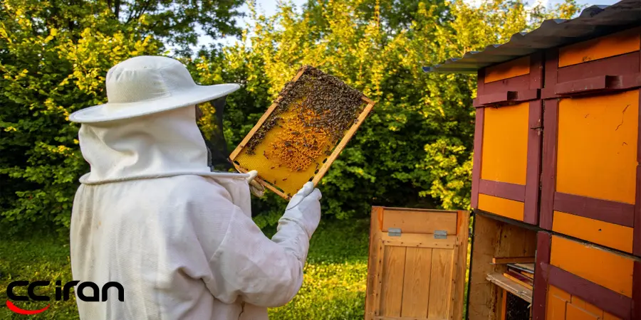 دلیل و نحوه استفاده از اسید فرمیک و اسید اگزالیک در صنعت زنبورداری